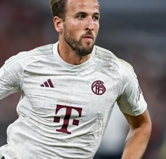 晶宫之间的 晶宫之间的